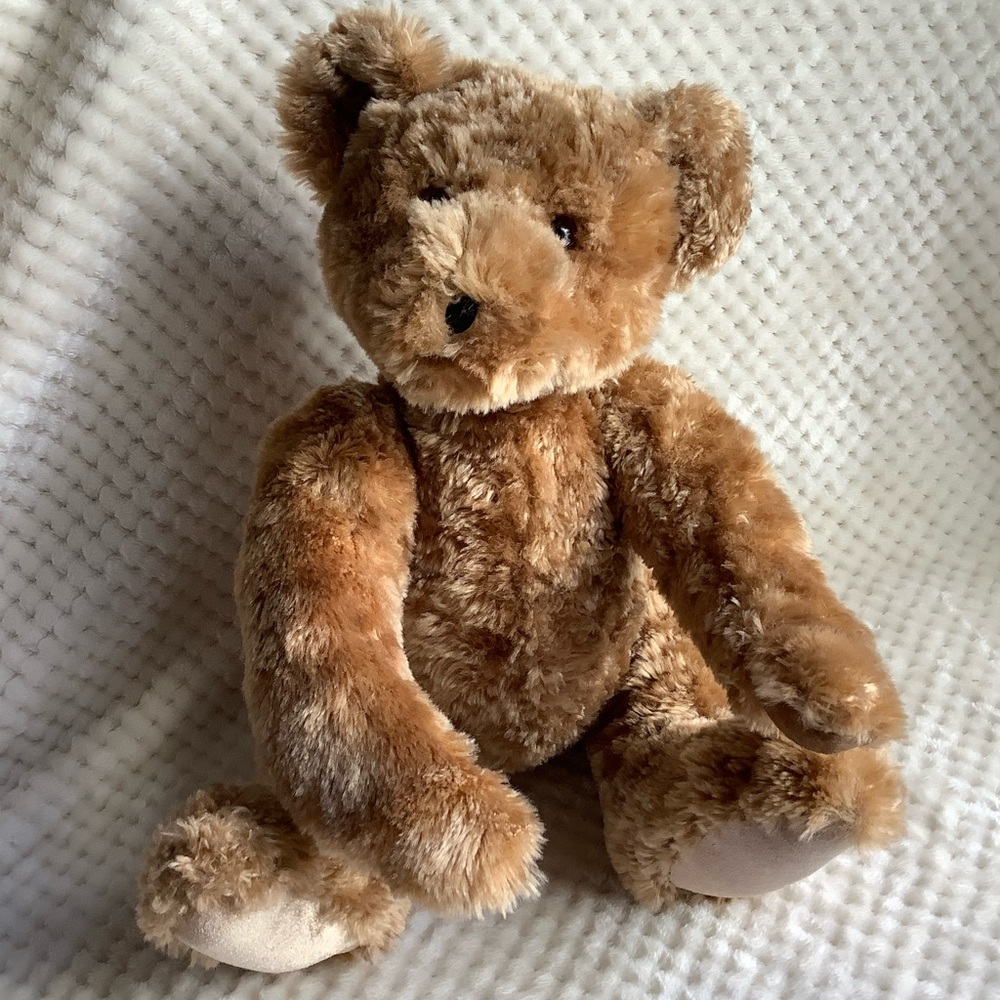 Presidents Choice Childrens Charity Bear Plush Jaden Jointed Stuffed Animal Toy